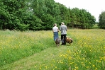 Two people walking and talking in a field with two Kune Kune pigs nearby