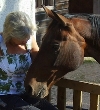 Horse and woman with heads very close together